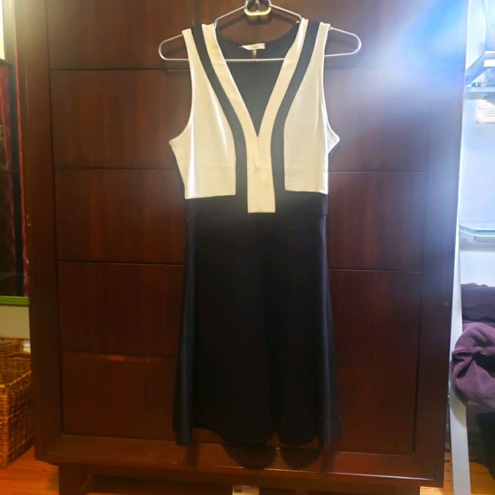 Soprano skater style black and white dress